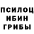 Псилоцибиновые грибы ЛСД Krasav4ik hopih