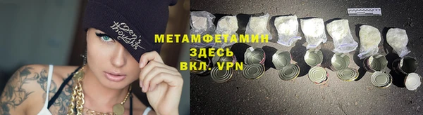 шишки Няндома