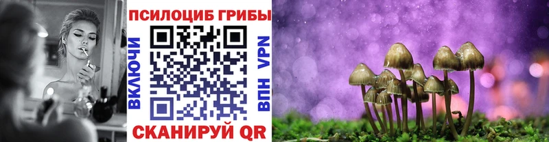 закладка  Сорочинск  Галлюциногенные грибы Cubensis 